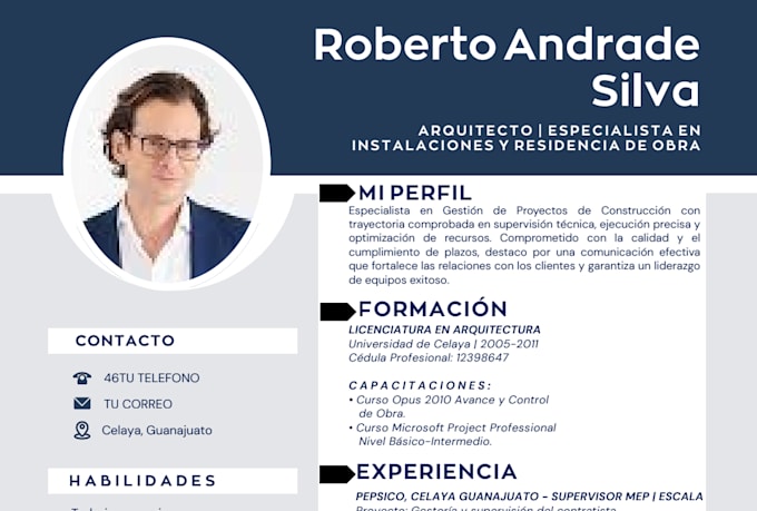 create a professional CV and resume in spanish